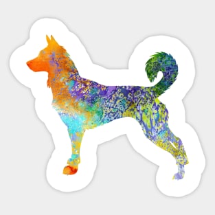 Canaan dog Sticker